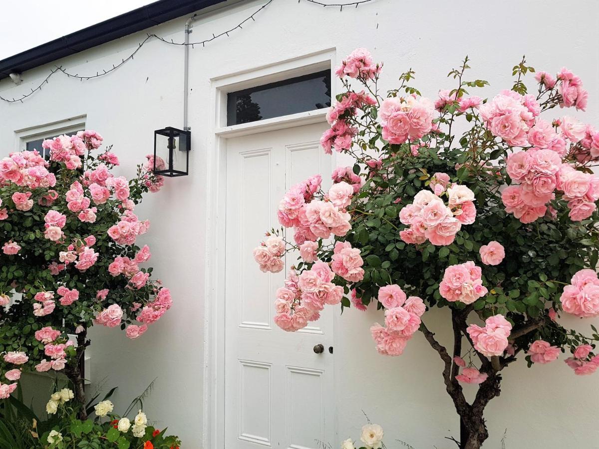 Clonmara Country House And Cottages Port Fairy Luaran gambar