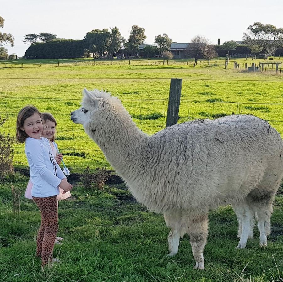 Clonmara Country House And Cottages Port Fairy Luaran gambar
