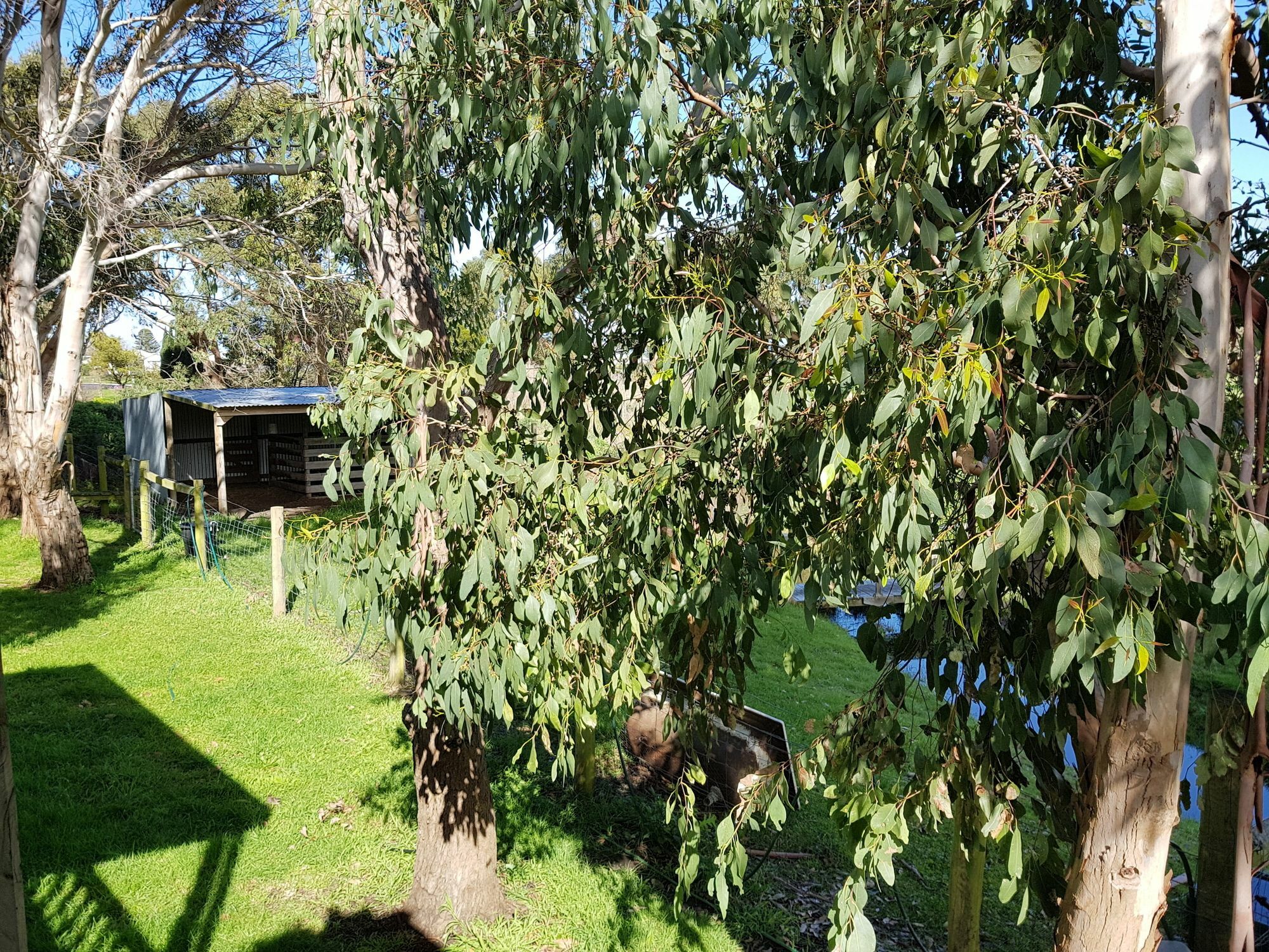 Clonmara Country House And Cottages Port Fairy Luaran gambar