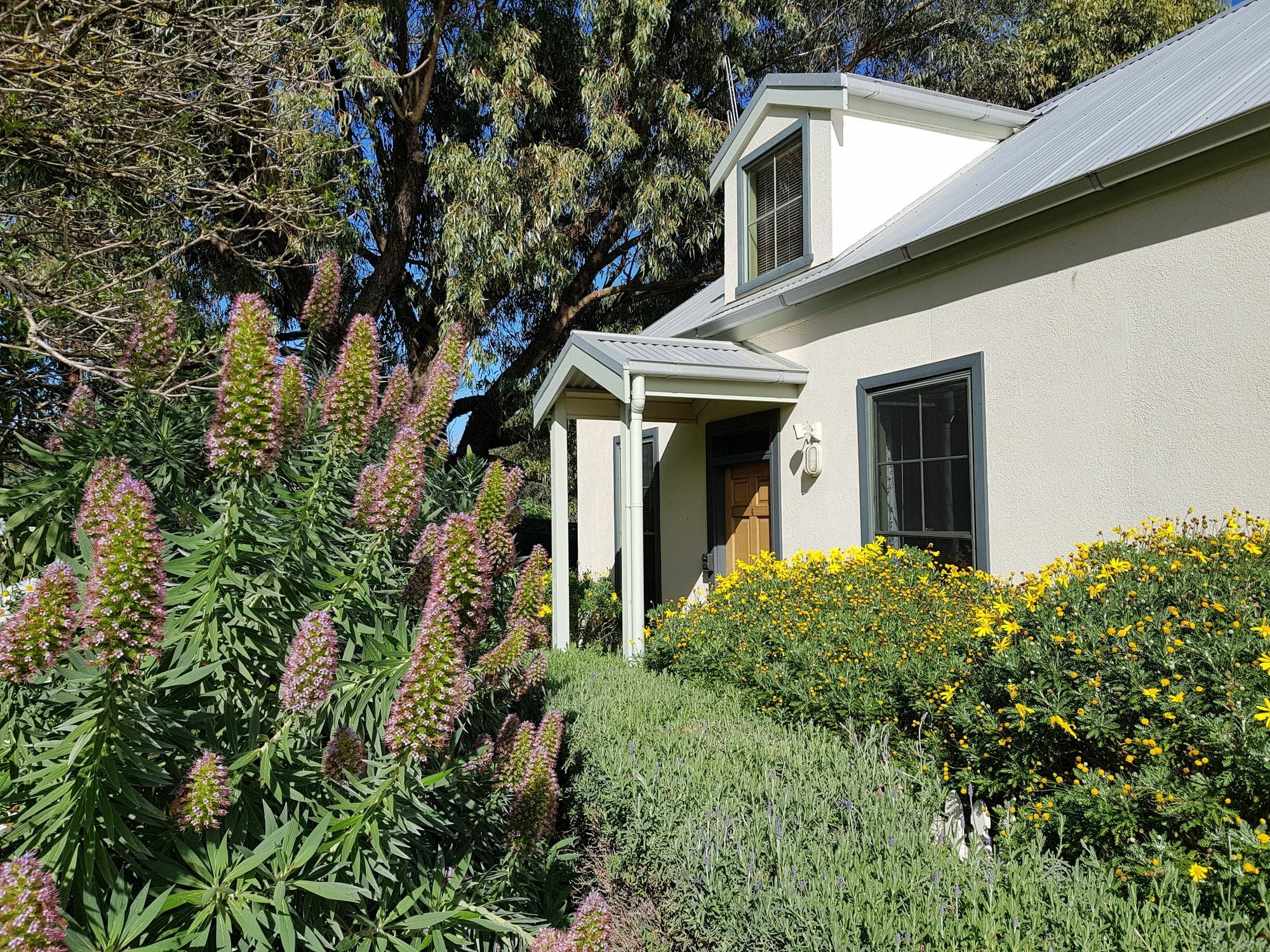Clonmara Country House And Cottages Port Fairy Luaran gambar