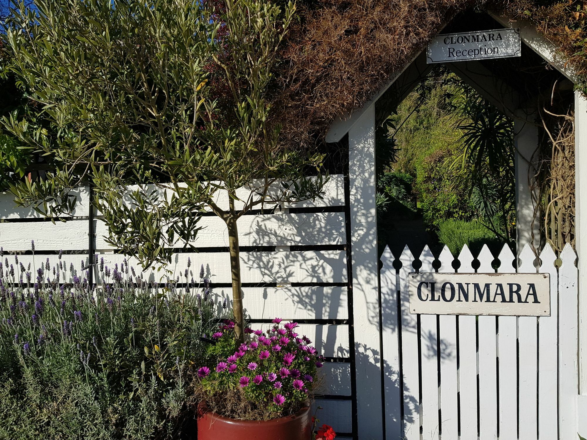 Clonmara Country House And Cottages Port Fairy Luaran gambar